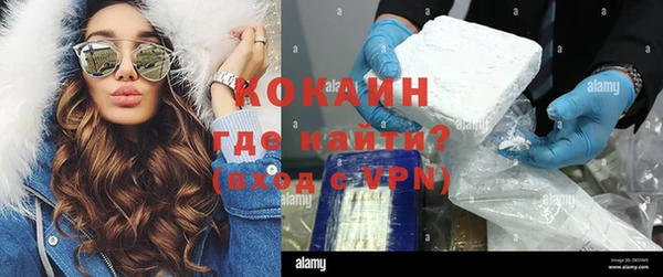 МДПВ Алзамай