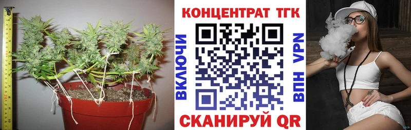 ТГК концентрат  где можно купить   ОМГ ОМГ tor  Выкса 