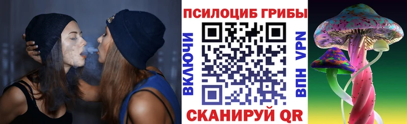купить наркотики сайты  Выкса  Галлюциногенные грибы мицелий 