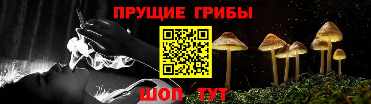 Галлюциногенные грибы Psilocybine cubensis Выкса
